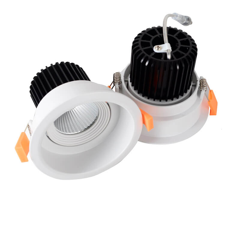 12W/20W Adjustable COB LED Down Light