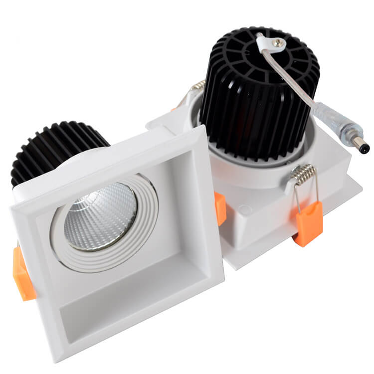 12W/20W Adjustable COB LED Down Light