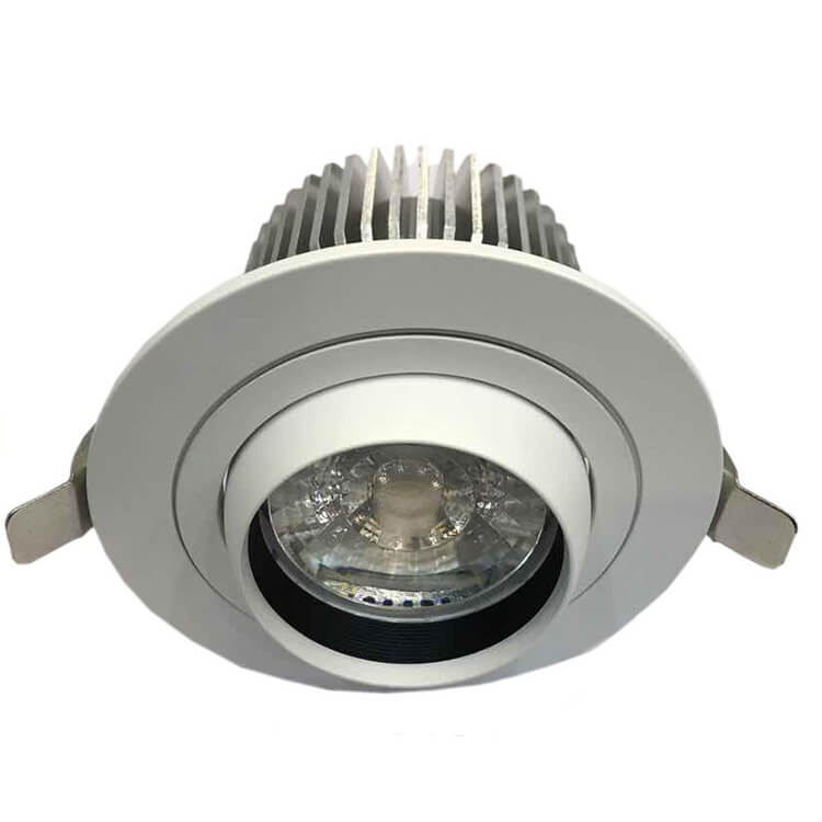 Adjustable LED Down Light
