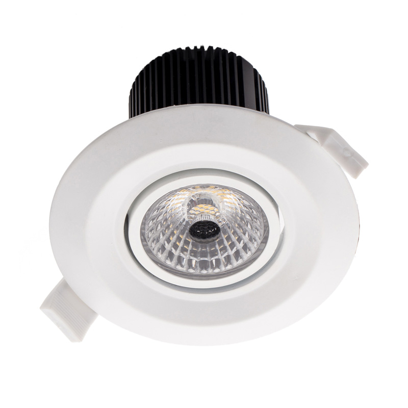 COB LED Down Light